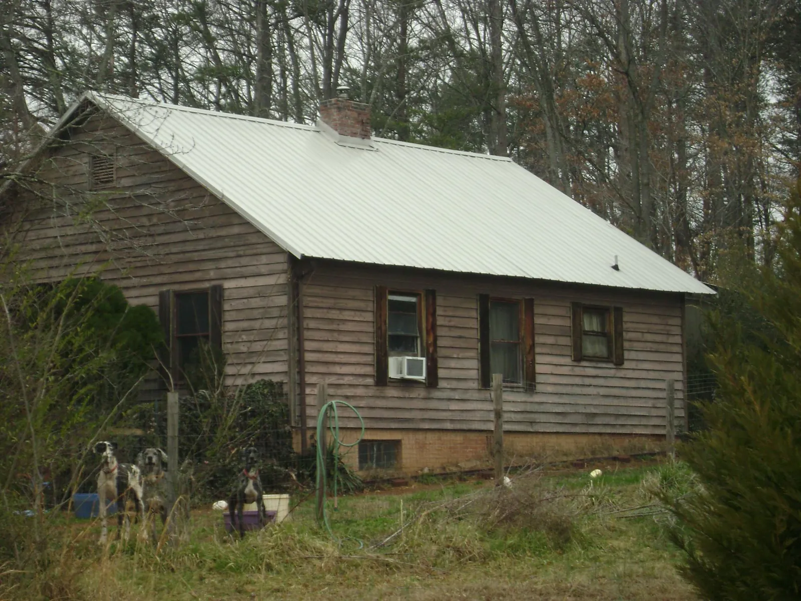 White metal roof on an old wood sided farmhouse, from a Asphalt Shingle Roof Repair job in Milan